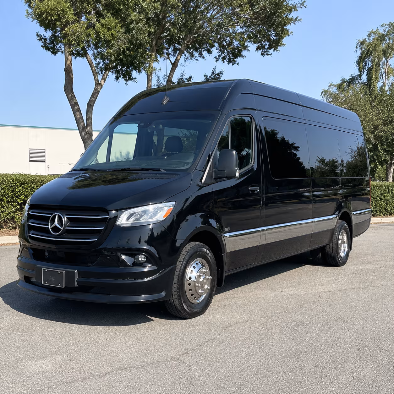sprinter vans and limos for hollywood prom couples and small groups